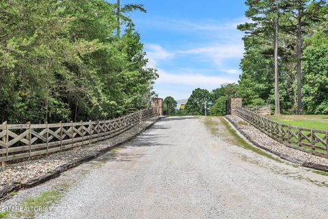 Tiny photo for 319 Four Mile Creek Rd, Deer Lodge, TN 37726 (MLS # 1329731)