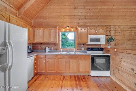 Tiny photo for 319 Four Mile Creek Rd, Deer Lodge, TN 37726 (MLS # 1329731)