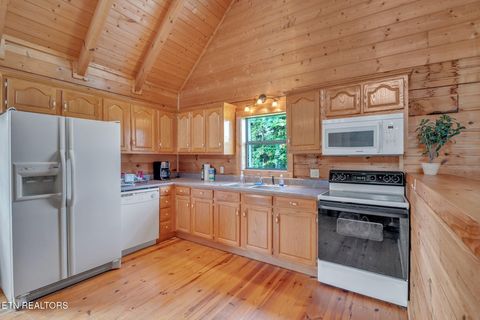 Tiny photo for 319 Four Mile Creek Rd, Deer Lodge, TN 37726 (MLS # 1329731)