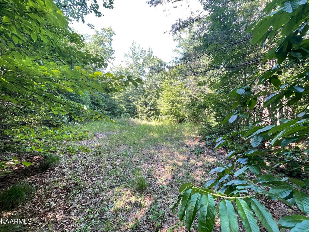 Photo of 56 Highway 68, Tellico Plains, TN 37385 (MLS # 1235973)