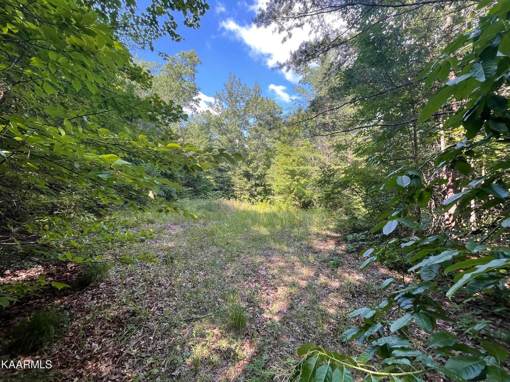 Photo of 56 Highway 68, Tellico Plains, TN 37385 (MLS # 1235973)