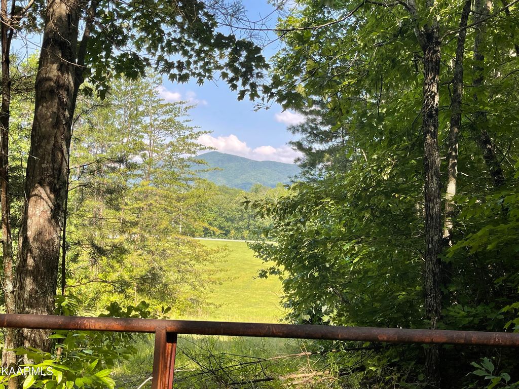 Photo of 56 Highway 68, Tellico Plains, TN 37385 (MLS # 1235973)