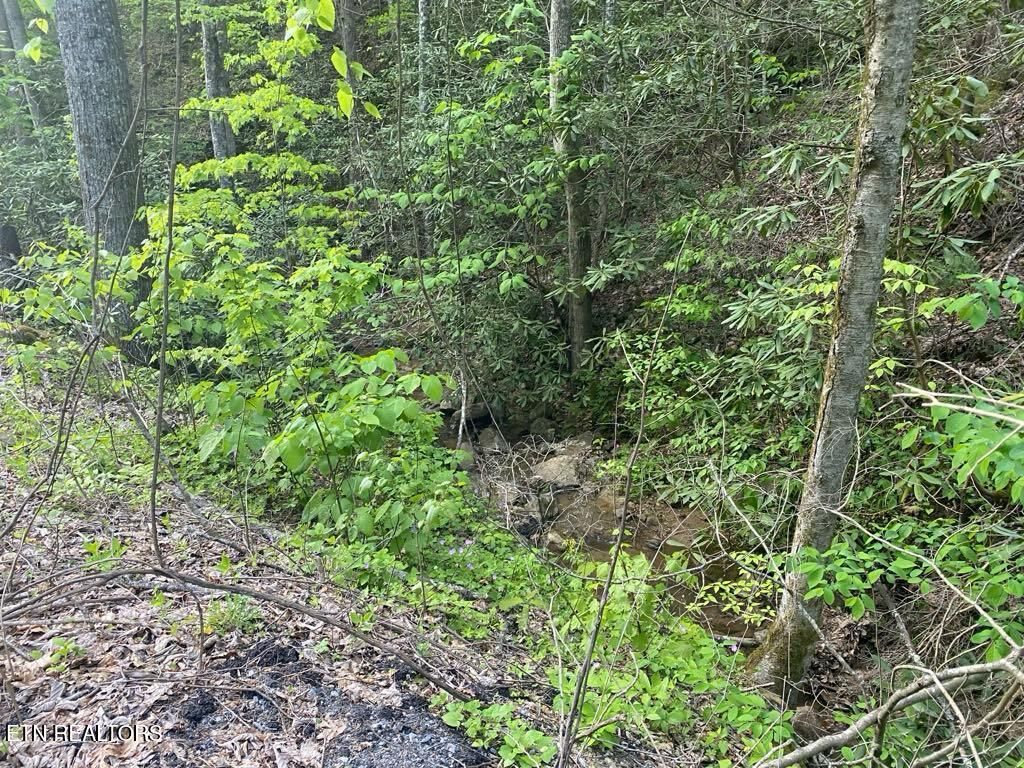 Photo of 26 Alpine Drive, Sevierville, TN 37876 (MLS # 1299890)