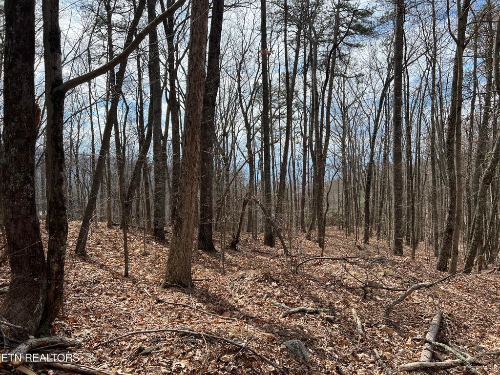 Photo of Swann Saddle, Sevierville, TN 37876 (MLS # 1332282)