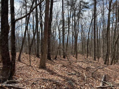 Photo of Swann Saddle, Sevierville, TN 37876 (MLS # 1332282)