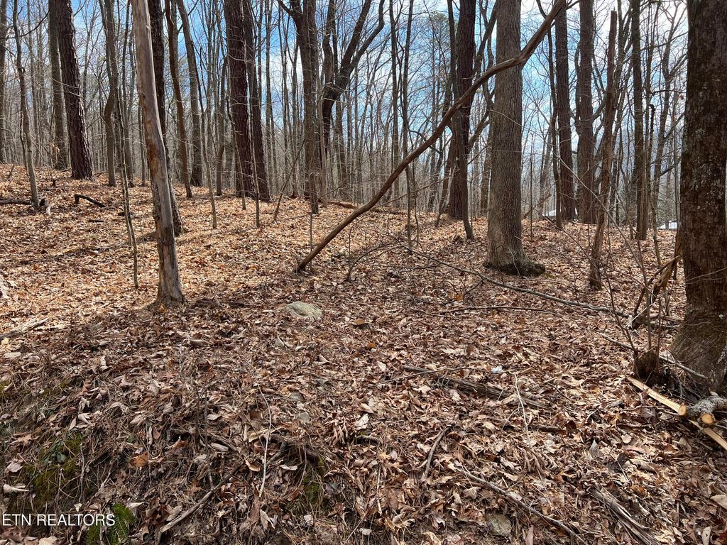 Photo of Swann Saddle, Sevierville, TN 37876 (MLS # 1332282)