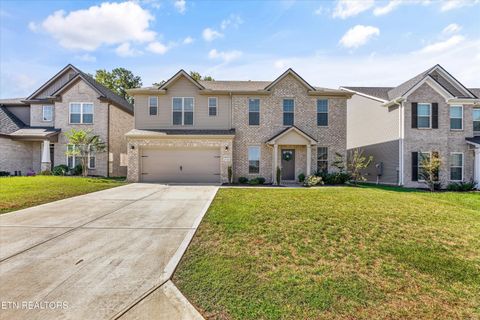 8630 Yellow Aster Rd Knoxville TN 37931