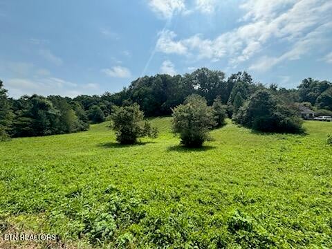 Photo of Offutt Rd, Clinton, TN 37716 (MLS # 1351454)