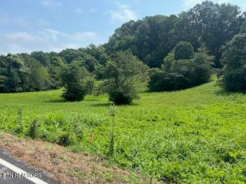 Tiny photo for Offutt Rd, Clinton, TN 37716 (MLS # 1351454)