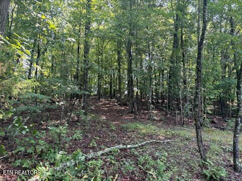 Tiny photo for Offutt Rd, Clinton, TN 37716 (MLS # 1351454)
