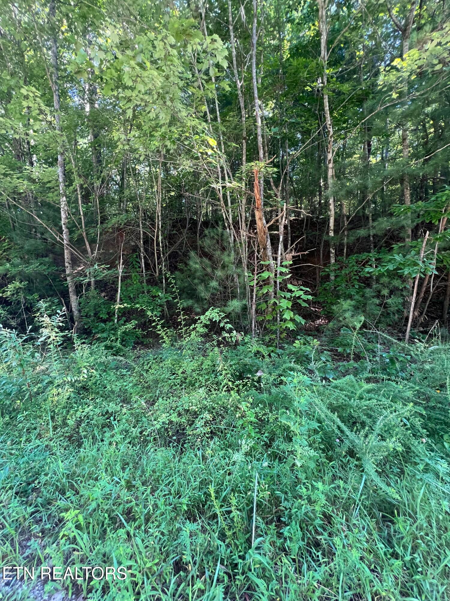 0.22 ac Hickory Hollow Rd