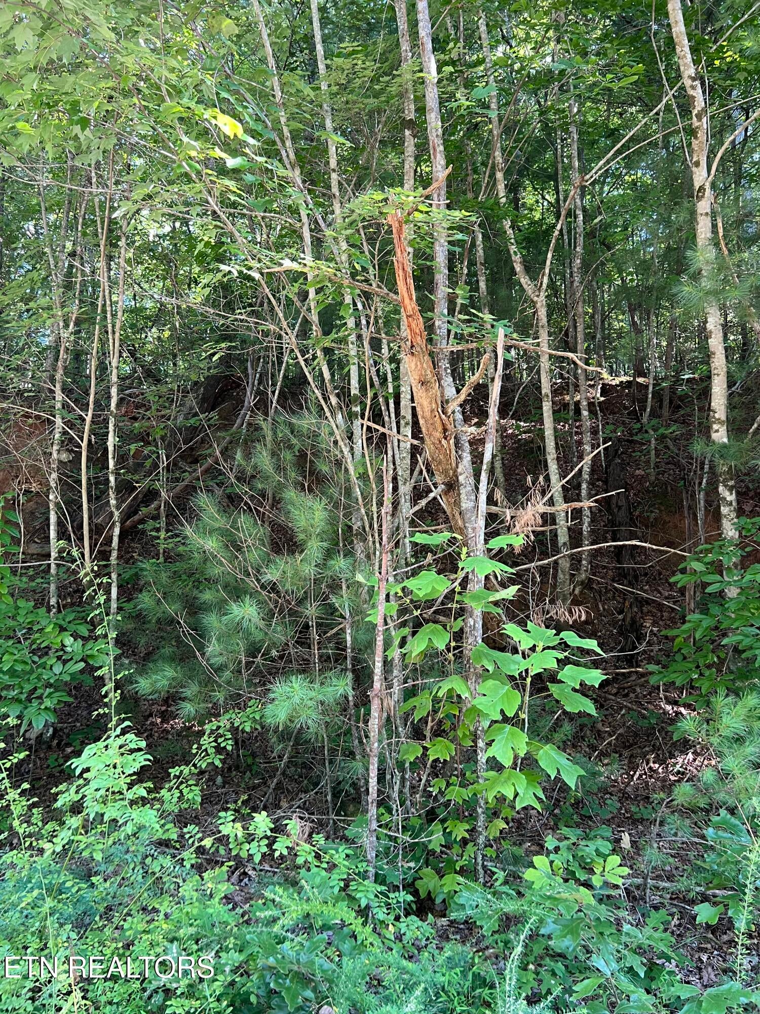 0.22 ac Hickory Hollow Rd