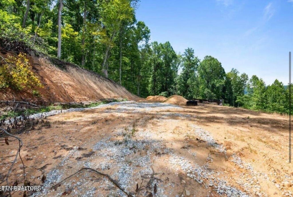 Photo of 353 Walden Ridge Lane, Caryville, TN 37714 (MLS # 1359371)
