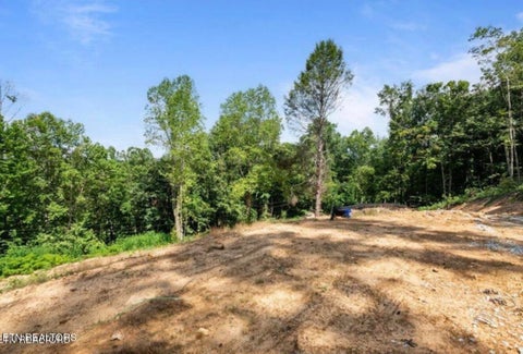 Tiny photo for 353 Walden Ridge Lane, Caryville, TN 37714 (MLS # 1359371)