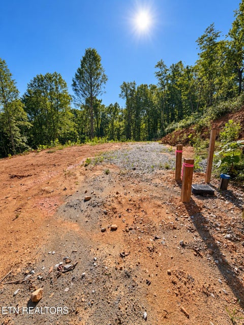 Tiny photo for 353 Walden Ridge Lane, Caryville, TN 37714 (MLS # 1359371)