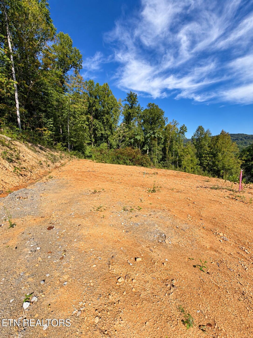 Photo of 353 Walden Ridge Lane, Caryville, TN 37714 (MLS # 1359371)