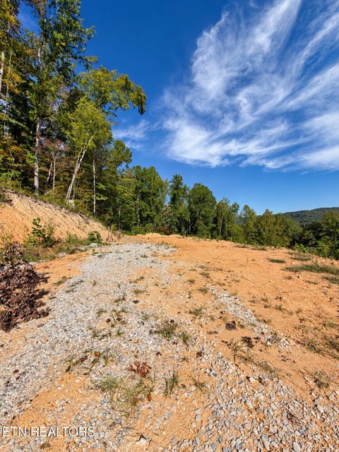 Tiny photo for 353 Walden Ridge Lane, Caryville, TN 37714 (MLS # 1359371)