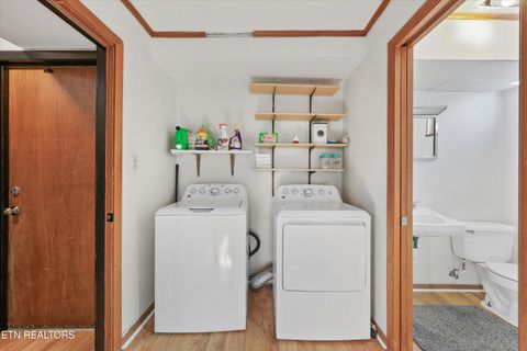 Tiny photo for 113 Nebraska Ave, Oak Ridge, TN 37830 (MLS # 1325915)