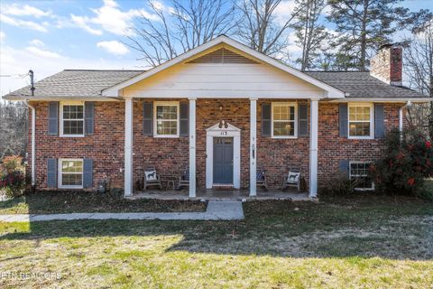 Photo of 113 Nebraska Ave, Oak Ridge, TN 37830 (MLS # 1325915)