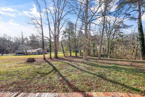 Tiny photo for 113 Nebraska Ave, Oak Ridge, TN 37830 (MLS # 1325915)