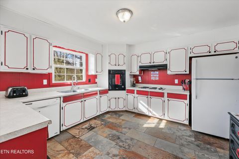 Tiny photo for 113 Nebraska Ave, Oak Ridge, TN 37830 (MLS # 1325915)