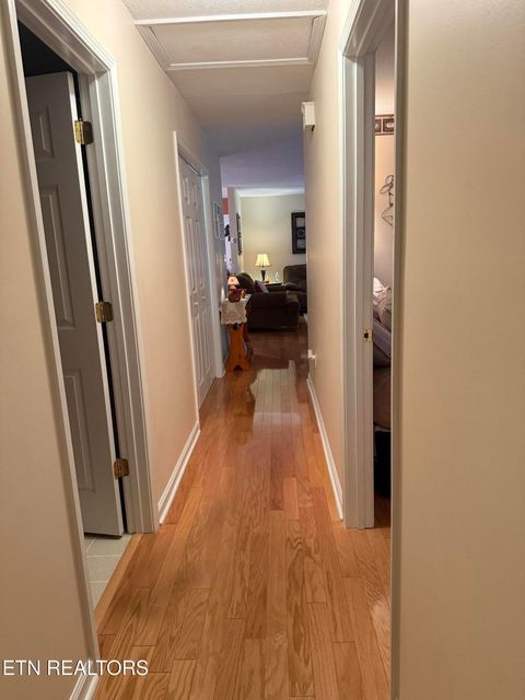 Tiny photo for 139 Butterfly Lane, Heiskell, TN 37754 (MLS # 1319355)
