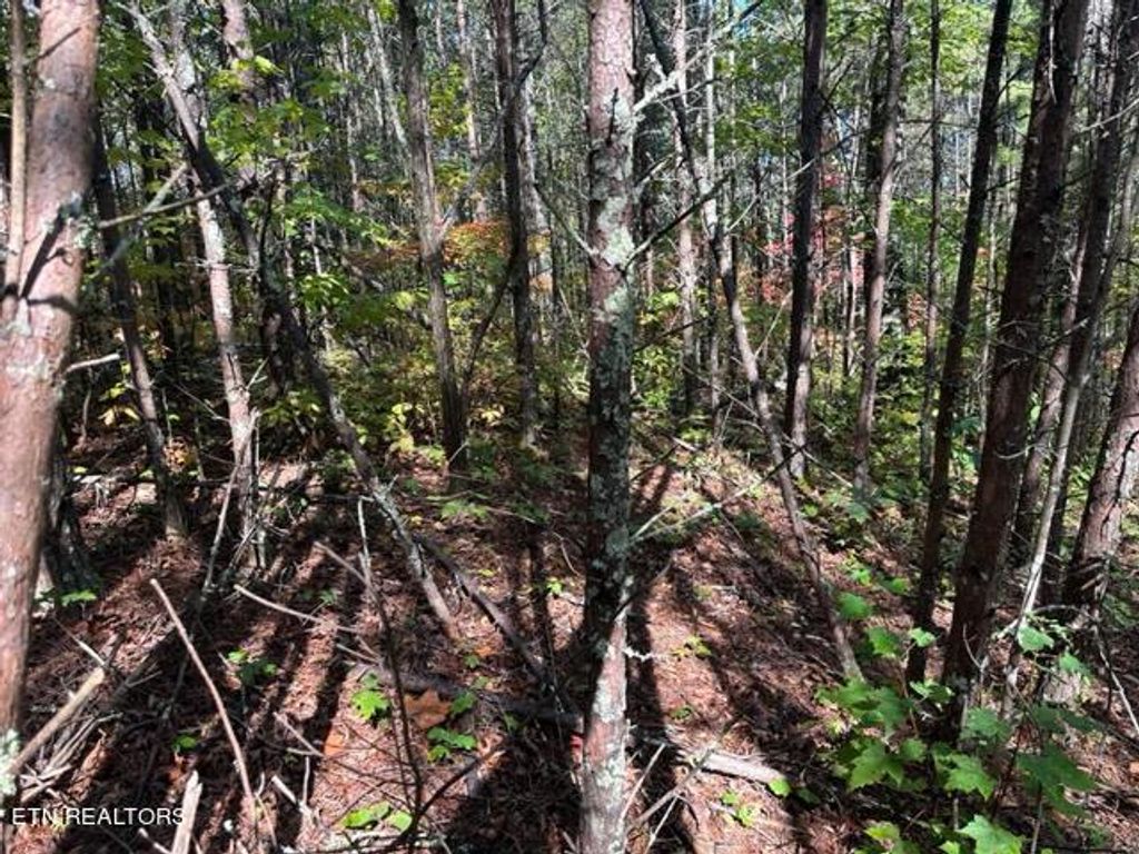 Photo of Stonegate Way, Townsend, TN 37882 (MLS # 1242902)