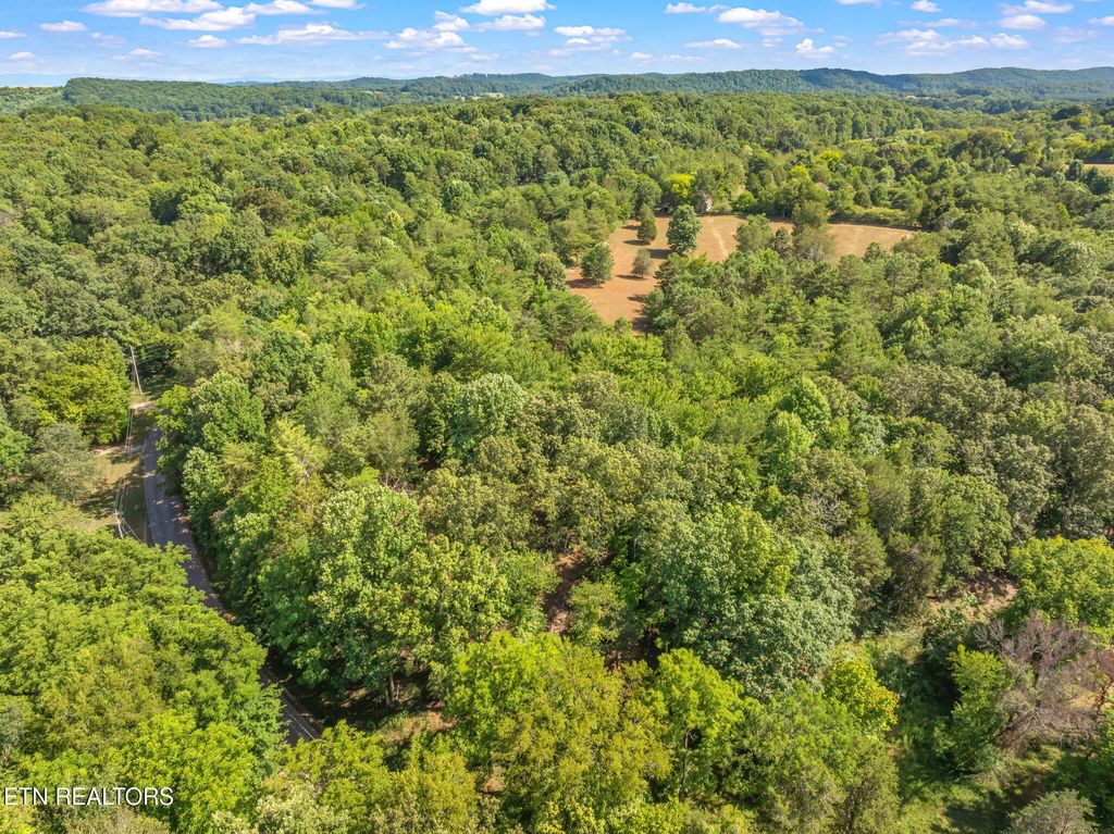 Photo of 776 Little Dogwood Rd, Kingston, TN 37763 (MLS # 1287719)