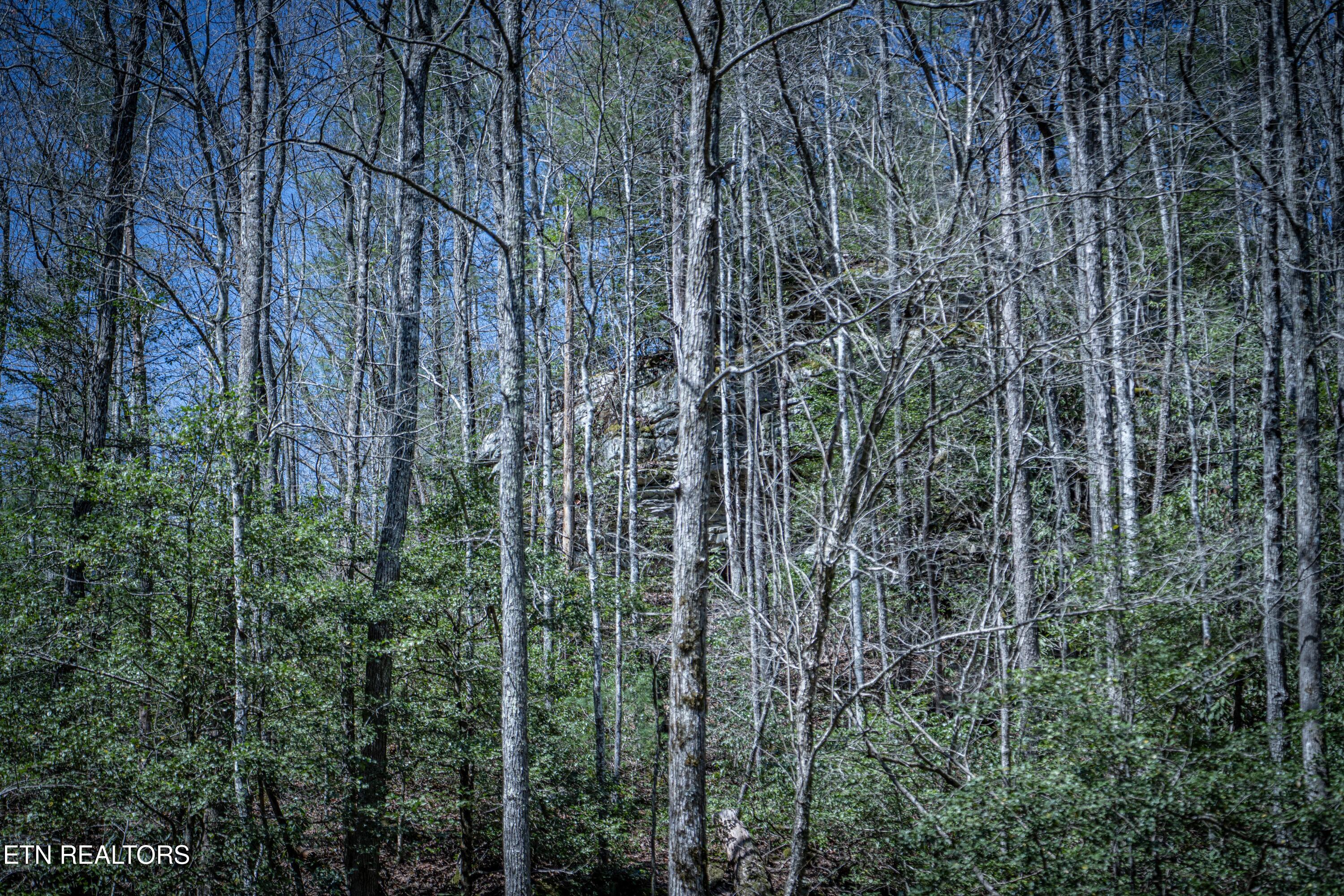 Fall Creek Rd