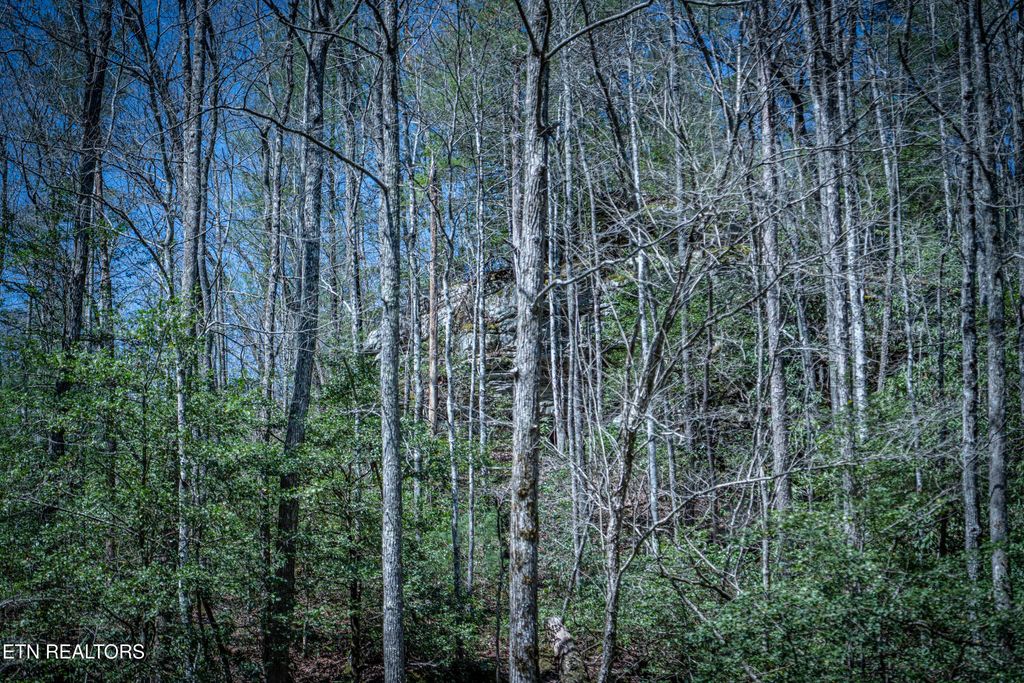 Photo of Fall Creek Rd, Rockwood, TN 37854 (MLS # 1298372)