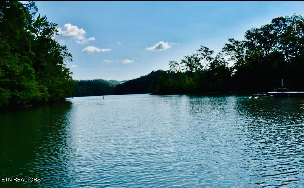 Photo of Wildcat Hollow Rd, New Tazewell, TN 37825 (MLS # 1273796)