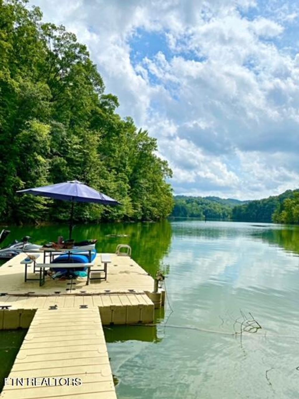 Photo of Wildcat Hollow Rd, New Tazewell, TN 37825 (MLS # 1273796)