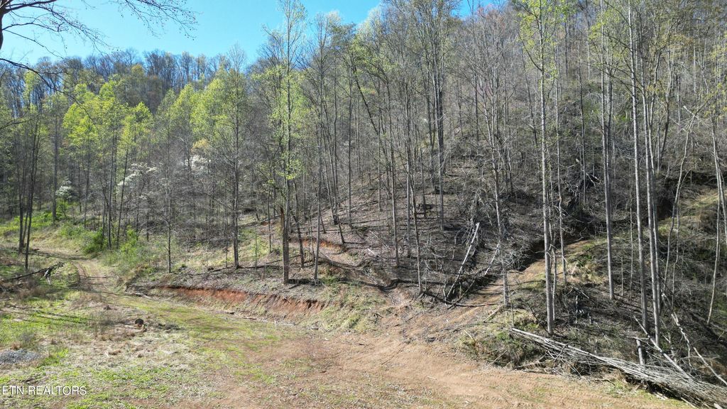 Photo of 7044 Caney Valley Rd, Tazewell, TN 37879 (MLS # 1259299)