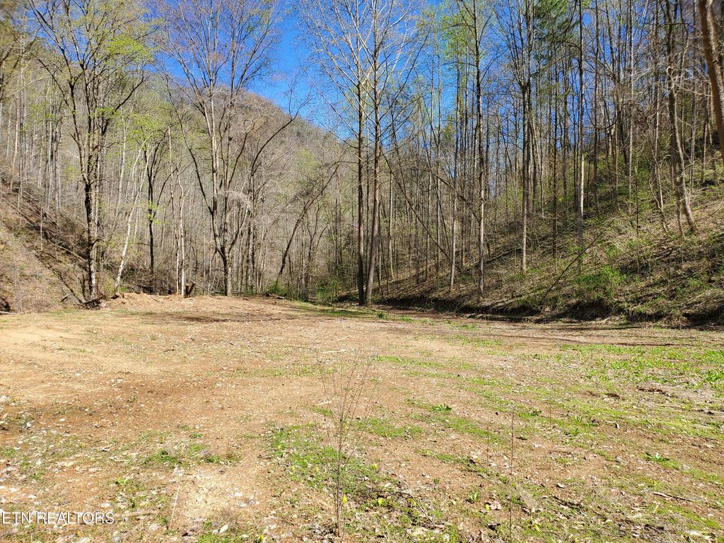 Photo of 7044 Caney Valley Rd, Tazewell, TN 37879 (MLS # 1259299)