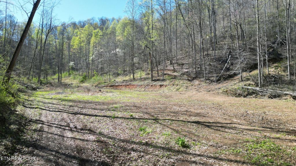 Photo of 7044 Caney Valley Rd, Tazewell, TN 37879 (MLS # 1259299)