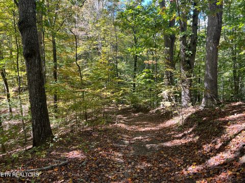 Tiny photo for 0 Brady Rd, Newport, TN 37821 (MLS # 1318632)