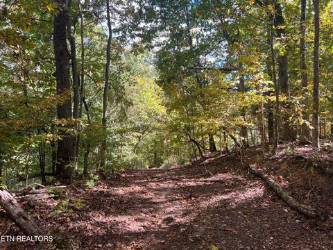 Tiny photo for 0 Brady Rd, Newport, TN 37821 (MLS # 1318632)