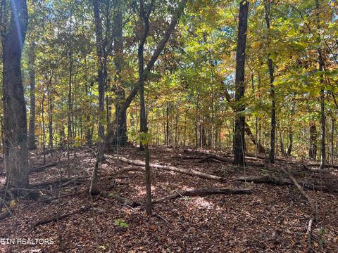 Tiny photo for 0 Brady Rd, Newport, TN 37821 (MLS # 1318632)