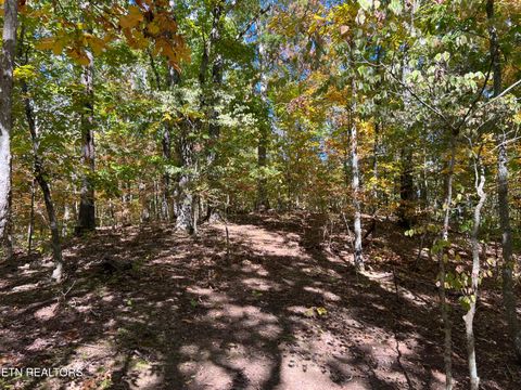 Tiny photo for 0 Brady Rd, Newport, TN 37821 (MLS # 1318632)