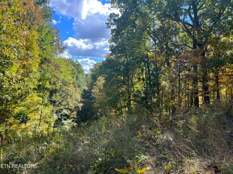 Tiny photo for 0 Brady Rd, Newport, TN 37821 (MLS # 1318632)