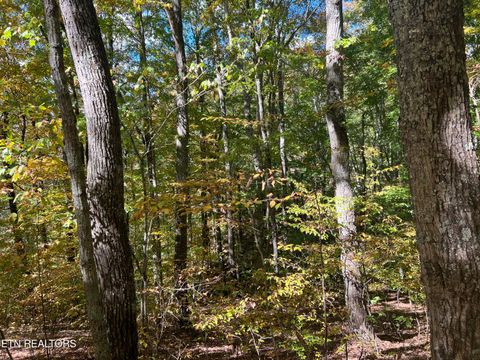 Tiny photo for 0 Brady Rd, Newport, TN 37821 (MLS # 1318632)