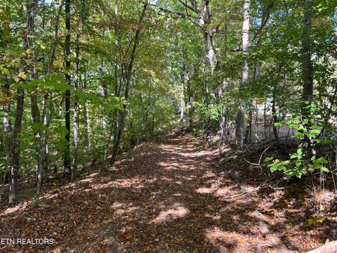 Tiny photo for 0 Brady Rd, Newport, TN 37821 (MLS # 1318632)