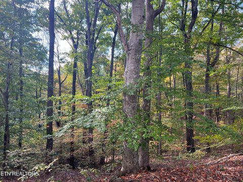 Tiny photo for 0 Brady Rd, Newport, TN 37821 (MLS # 1318632)