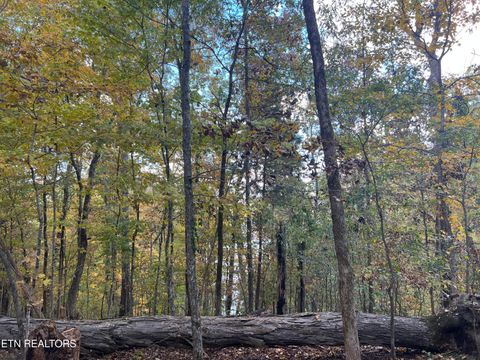 Tiny photo for 0 Brady Rd, Newport, TN 37821 (MLS # 1318632)