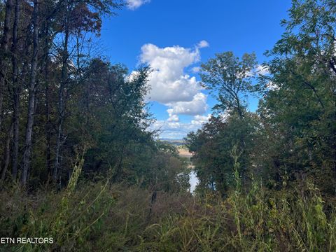 Tiny photo for 0 Brady Rd, Newport, TN 37821 (MLS # 1318632)