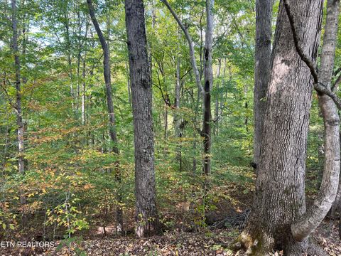 Tiny photo for 0 Brady Rd, Newport, TN 37821 (MLS # 1318632)