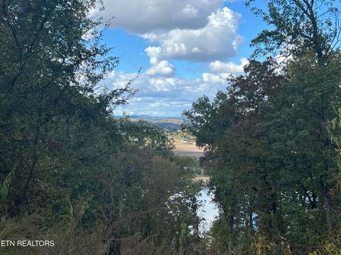 Tiny photo for 0 Brady Rd, Newport, TN 37821 (MLS # 1318632)