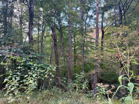 Tiny photo for 0 Brady Rd, Newport, TN 37821 (MLS # 1318632)