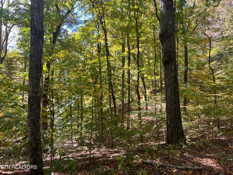 Tiny photo for 0 Brady Rd, Newport, TN 37821 (MLS # 1318632)