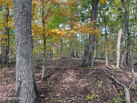 Tiny photo for 0 Brady Rd, Newport, TN 37821 (MLS # 1318632)